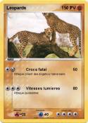 Leopards