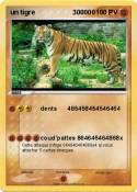 un tigre 300000
