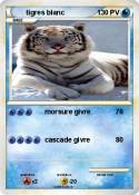 tigres blanc