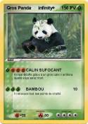 Gros Panda infinity+ Gros Panda