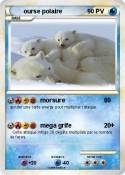 ourse polaire