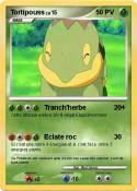 Tortipouss