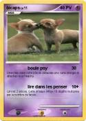 bicaps