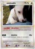 minibouille