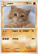 chaton