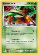 Torterra nv. X