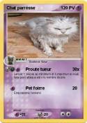 Chat parrésse