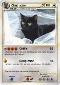 Chat noire