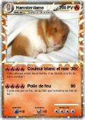 Hamsterdame