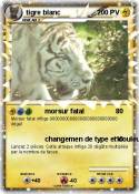 tigre blanc