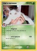 chat a marwane
