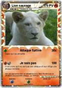 Lion sauvage