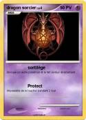 dragon sorcier