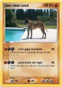 mon chien Linck