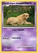 mastiff-dogue