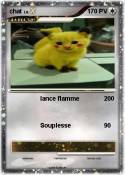 chat