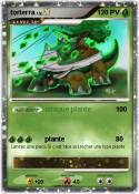 torterra torterra