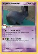 super lapin