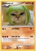 chatinou