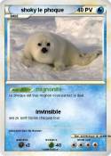 shoky le phoque