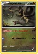 dragon a 8 tete