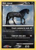 Noir cheval Noir cheval