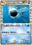 Grand requin