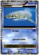 requin