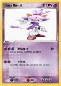 blaze the cat