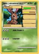 lapin ( simanimal ds ) lapin (