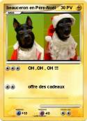 beauceron en