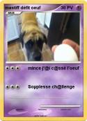 mastiff défit oeuf mastiff défit