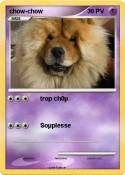 chow-chow