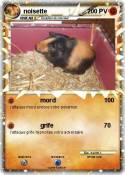 noisette noisette