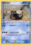bébé furet bébé furet