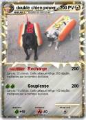double chien power double chien