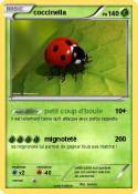 coccinella