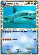 requin blanc requin blanc