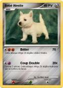 Bébé Westie Bébé Westie