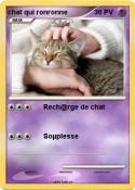 chat qui ronronne chat qui