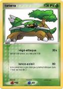 torterra
