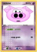 cochonet