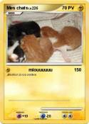 Mes chats
