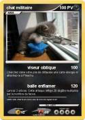 chat militaire
