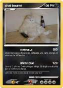 chat bourré