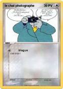 le chat photographe le chat