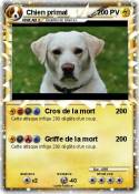 Chien primal