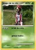 beagle fait du vélo beagle fait du