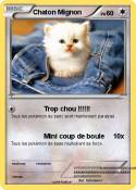 Chaton Mignon