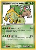 tortipouss boshkara et tortera tortipouss